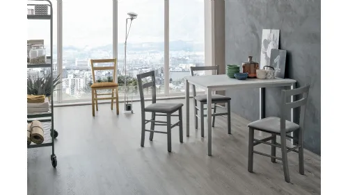 Sedia Salvador con struttura in legno verniciato e seduta in morbida microfibra effetto velluto di Target Point
